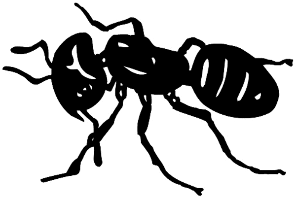 Wasp vinyl sticker. Customize on line.       Animals Insects Fish 004-0941  